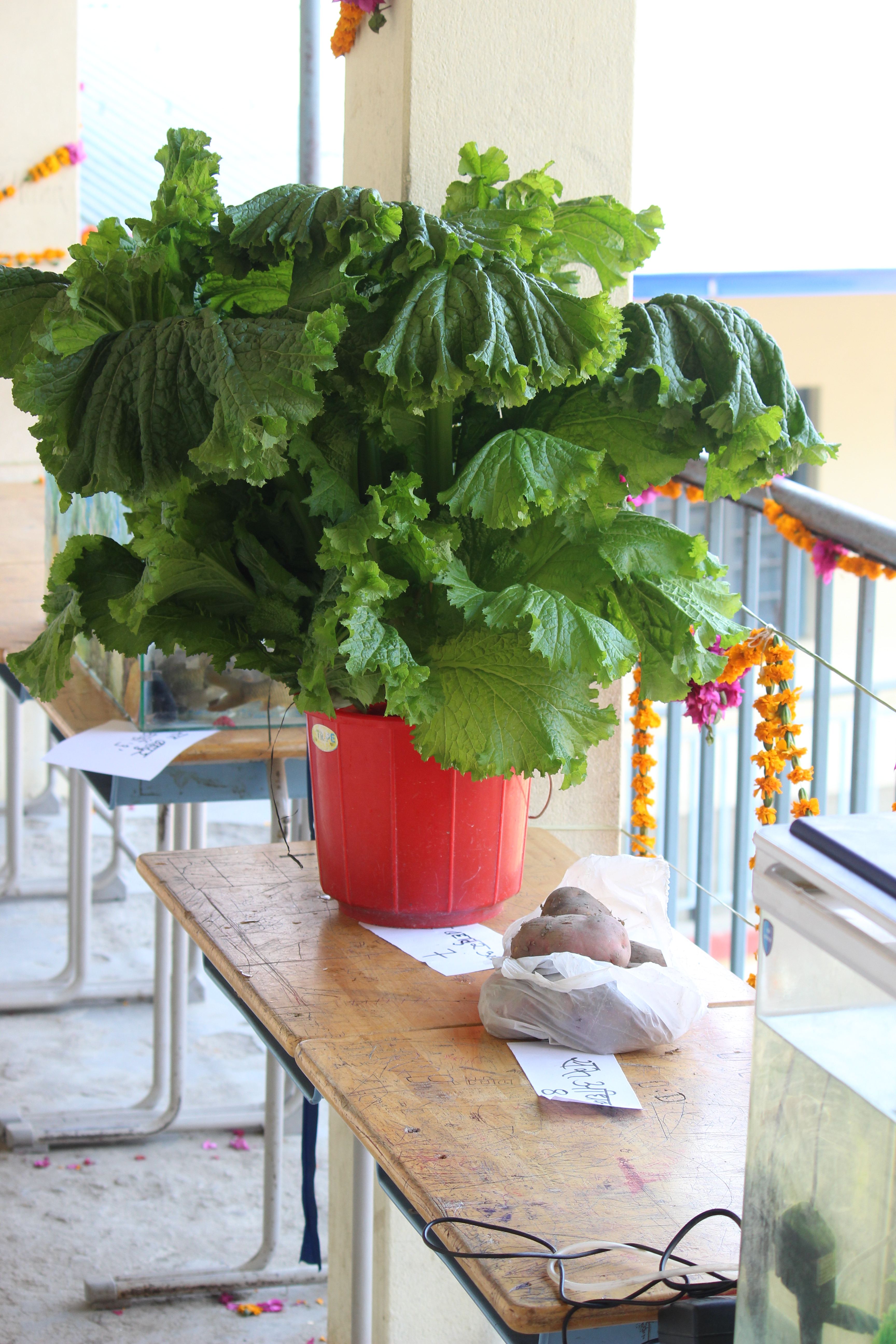 Plant Science